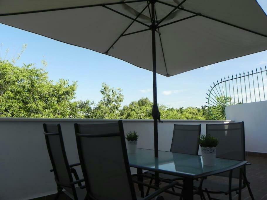Atico Con Terraza En Alameda De Hercules Σεβίλλη Εξωτερικό φωτογραφία